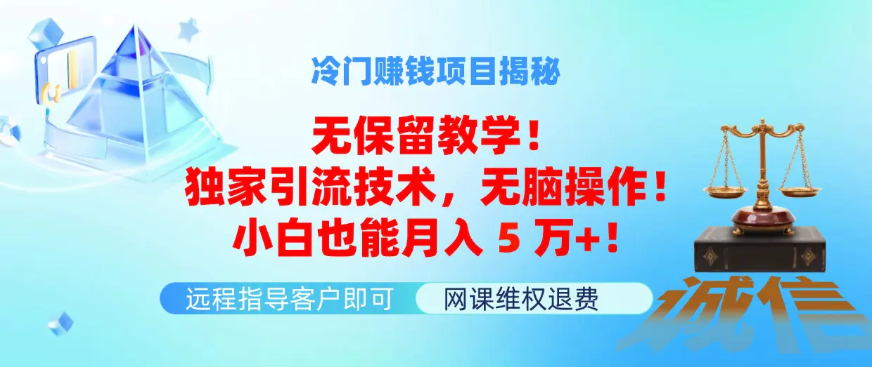 冷门赚钱项目无保留教学！独家引流技术，无脑操作！小白也能月入5万+！ - 3A资源站-3A资源站