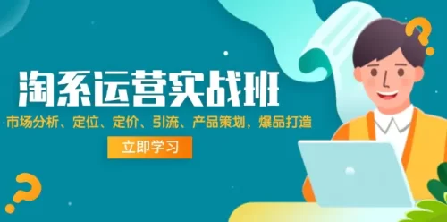 淘系运营实战班：市场分析、定位、定价、引流、产品策划，爆品打造-VAM资源