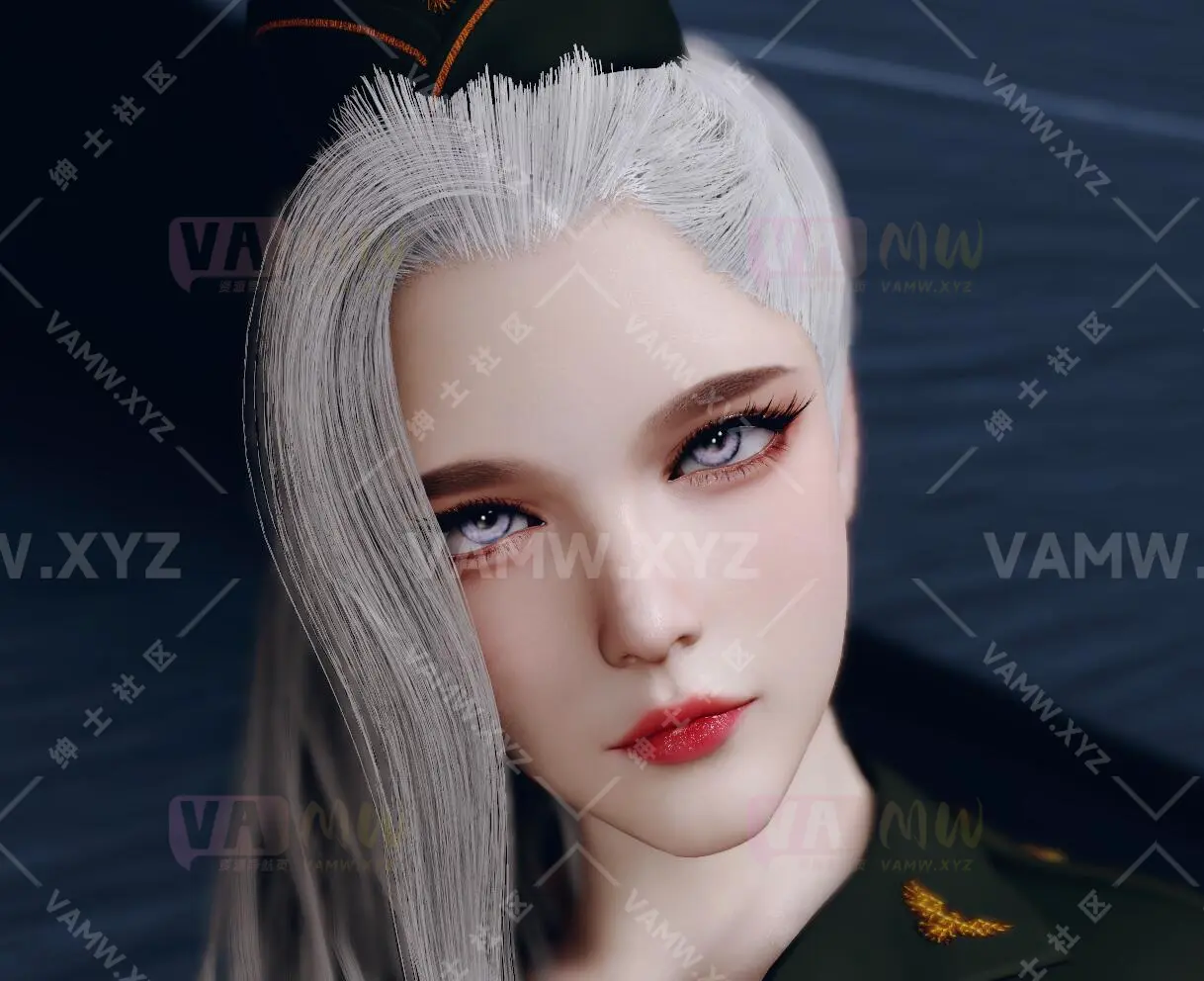 Dmoold.帝国荣耀.1-VAM资源