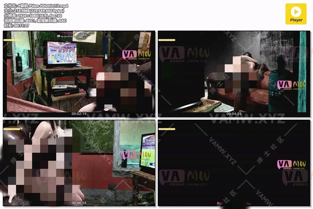 老婆背着自己和大老黑私下幽会被看见 11分37-VAM资源